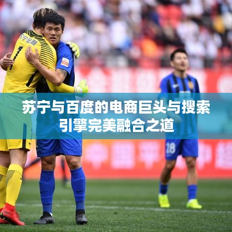 苏宁与百度的电商巨头与搜索引擎完美融合之道