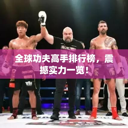 全球功夫高手排行榜，震撼实力一览！