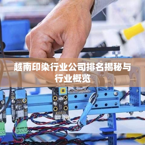 越南印染行业公司排名揭秘与行业概览