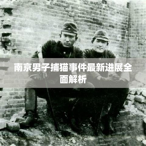 南京男子捕猫事件最新进展全面解析
