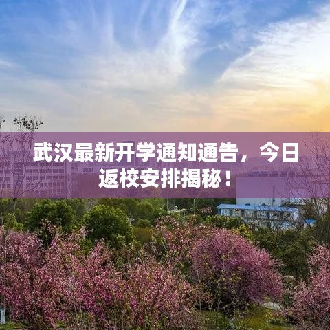 武汉最新开学通知通告,今日返校安排揭秘!