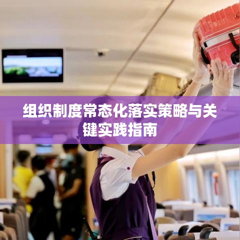 组织制度常态化落实策略与关键实践指南