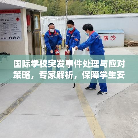 国际学校突发事件处理与应对策略，专家解析，保障学生安全的关键措施！