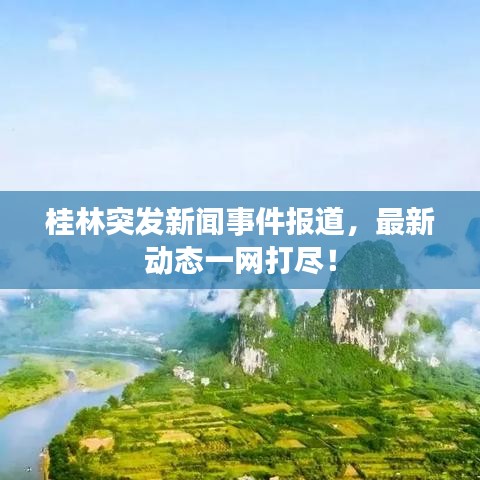 桂林突发新闻事件报道，最新动态一网打尽！