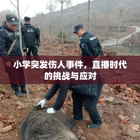 小学突发伤人事件，直播时代的挑战与应对