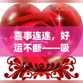 喜事连连,好运不断——吸引眼球的喜事人生!