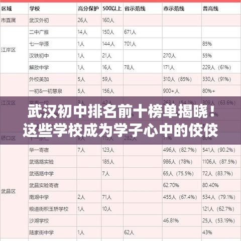 武汉初中排名前十榜单揭晓!这些学校成为学子心中的佼佼者