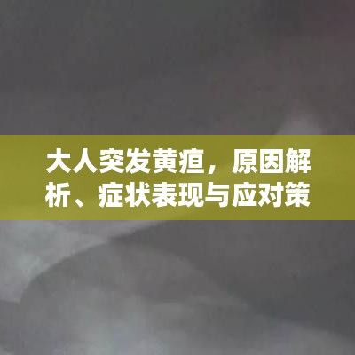 大人突发黄疸，原因解析、症状表现与应对策略