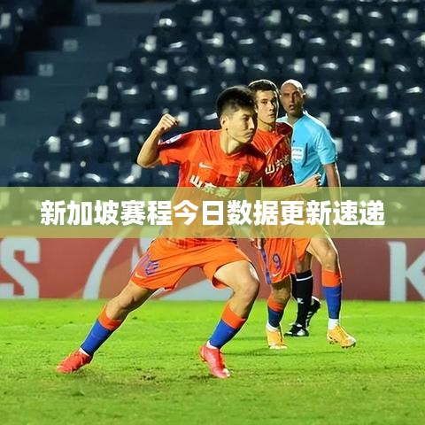 新加坡赛程今日数据更新速递