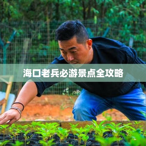 海口老兵必游景点全攻略