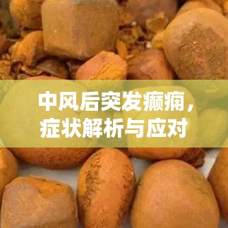 中风后突发癫痫，症状解析与应对策略
