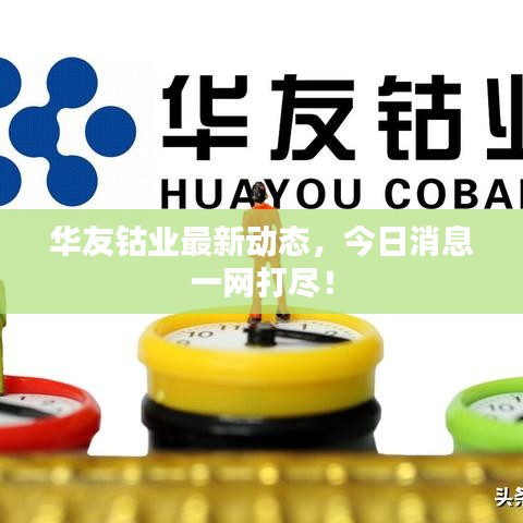 华友钴业最新动态，今日消息一网打尽！