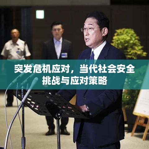 突发危机应对，当代社会安全挑战与应对策略