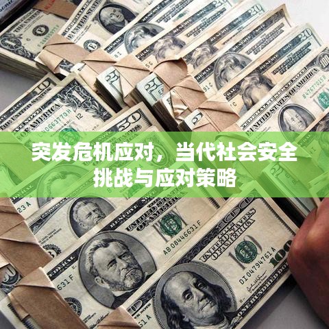 突发危机应对,当代社会安全挑战与应对策略