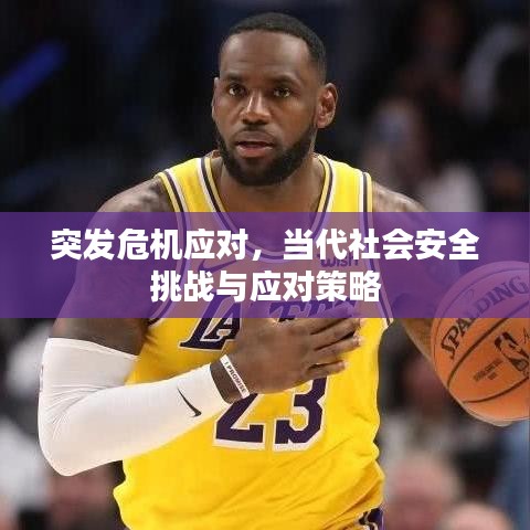 突发危机应对,当代社会安全挑战与应对策略