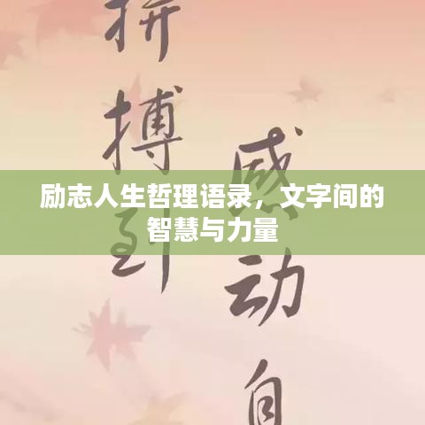 励志人生哲理语录,文字间的智慧与力量