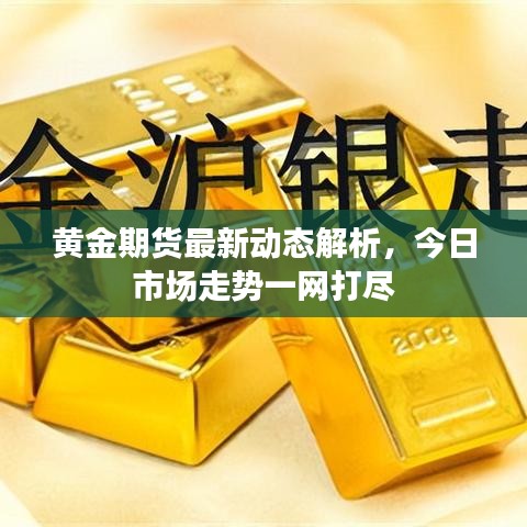 黄金期货最新动态解析,今日市场走势一网打尽