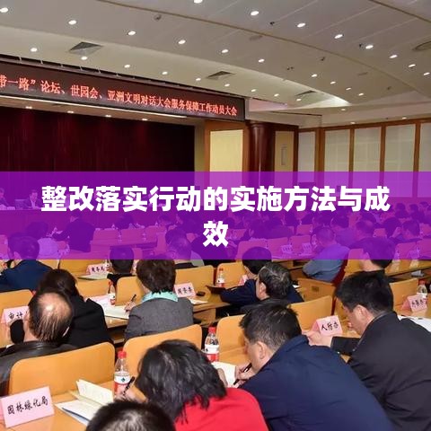 整改落实行动的实施方法与成效