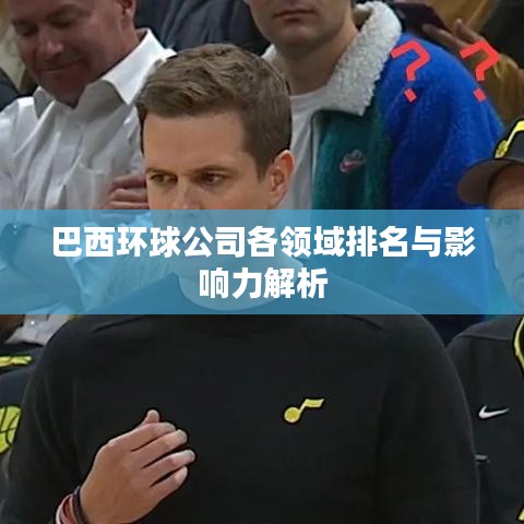 巴西环球公司各领域排名与影响力解析