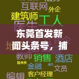 东莞首发新闻头条号，捕捉城市发展精彩瞬间