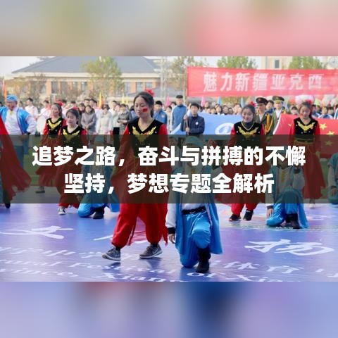 追梦之路，奋斗与拼搏的不懈坚持，梦想专题全解析