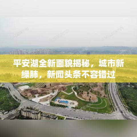 平安湖全新面貌揭秘，城市新绿肺，新闻头条不容错过