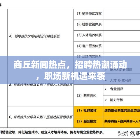 商丘新闻热点，招聘热潮涌动，职场新机遇来袭