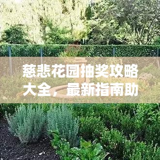 慈悲花园抽奖攻略大全，最新指南助你轻松赢大奖！