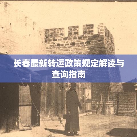 长春最新转运政策规定解读与查询指南