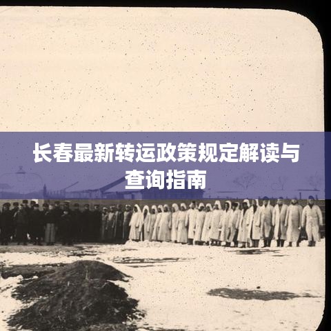 长春最新转运政策规定解读与查询指南