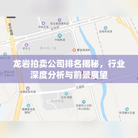 不飞则已 第6页