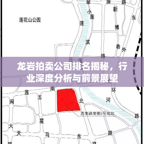 龙岩拍卖公司排名揭秘,行业深度分析与前景展望