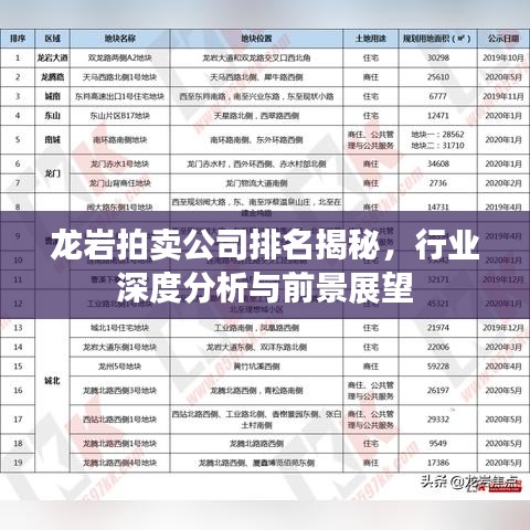 龙岩拍卖公司排名揭秘,行业深度分析与前景展望
