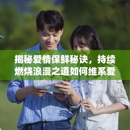 揭秘爱情保鲜秘诀,持续燃烧浪漫之道如何维系爱情火花?