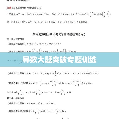 导数大题突破专题训练