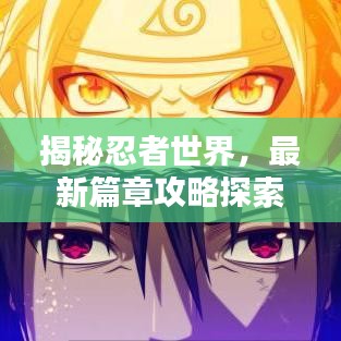 揭秘忍者世界,最新篇章攻略探索