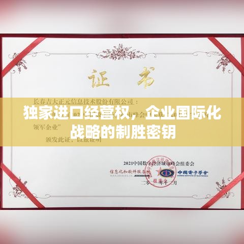 独家进口经营权，企业国际化战略的制胜密钥