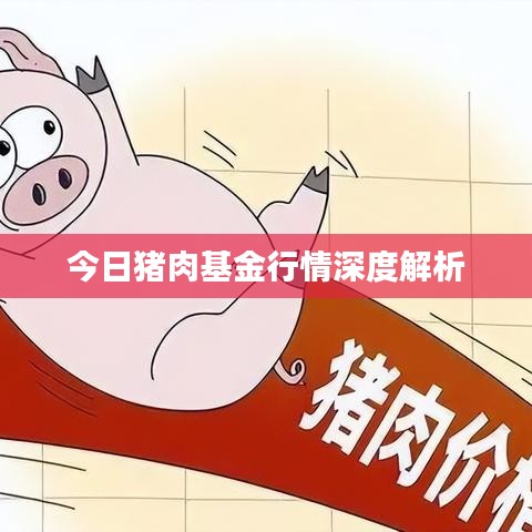 今日猪肉基金行情深度解析