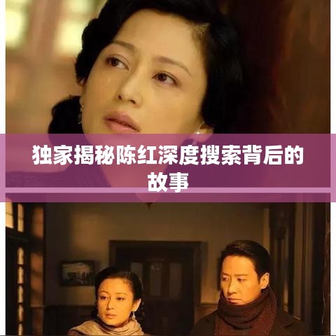 独家揭秘陈红深度搜索背后的故事