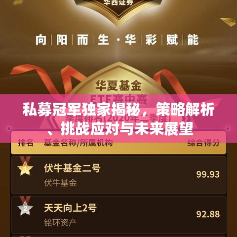 私募冠军独家揭秘,策略解析、挑战应对与未来展望