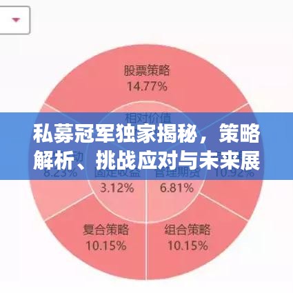 微软办公软件最新版本,实地考察数据执行-2DM_v3.347