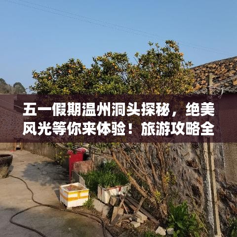 五一假期温州洞头探秘,绝美风光等你来体验!旅游攻略全攻略!
