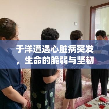 于洋遭遇心脏病突发，生命的脆弱与坚韧挑战