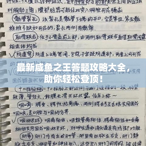 最新咸鱼之王答题攻略大全，助你轻松登顶！