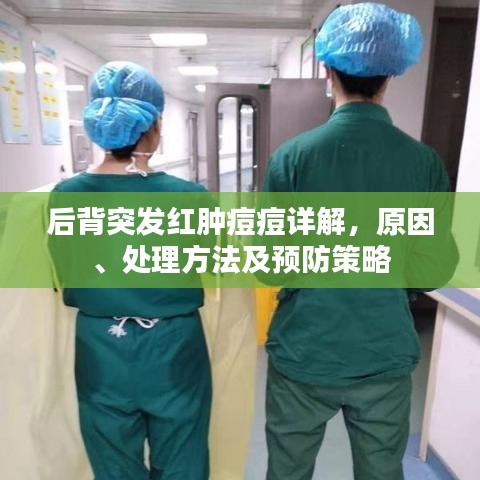 后背突发红肿痘痘详解，原因、处理方法及预防策略
