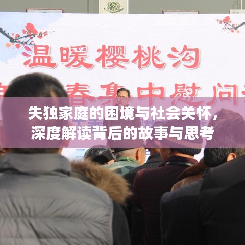 失独家庭的困境与社会关怀,深度解读背后的故事与思考