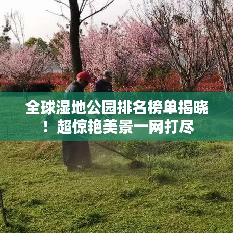 全球湿地公园排名榜单揭晓!超惊艳美景一网打尽