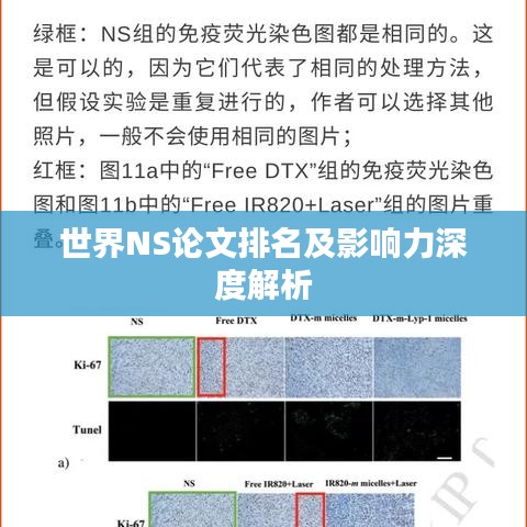 世界NS论文排名及影响力深度解析
