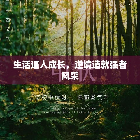 生活逼人成长,逆境造就强者风采