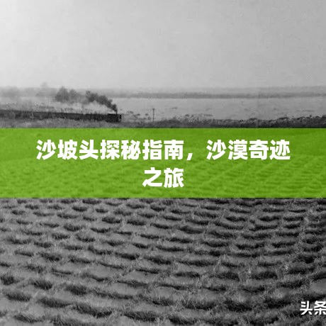 沙坡头探秘指南，沙漠奇迹之旅